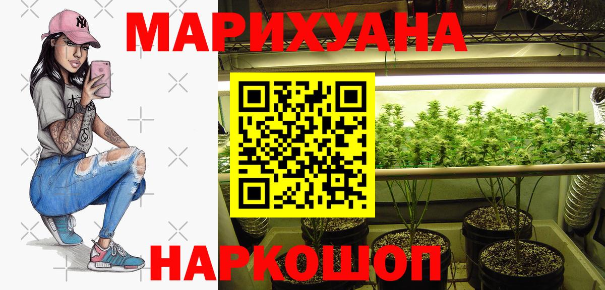 Конопля сатива Советск